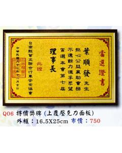 AS-P91-Q06