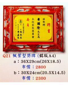 AS-P92-Q21