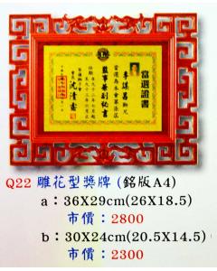 AS-P92-Q22