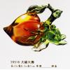 GL-20516大福...